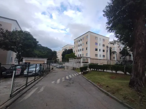 Alugar Apartamento / Padrão em São Paulo. apenas R$ 800,00